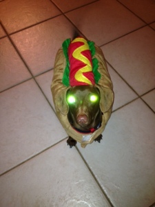 lulu hot dog glowing eyes